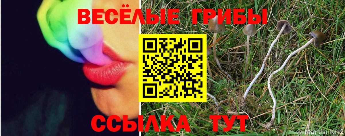 Псилоцибиновые грибы прущие грибы  Псилоцибиновые грибы ЛСД  Гагарин  Вход с VPN 