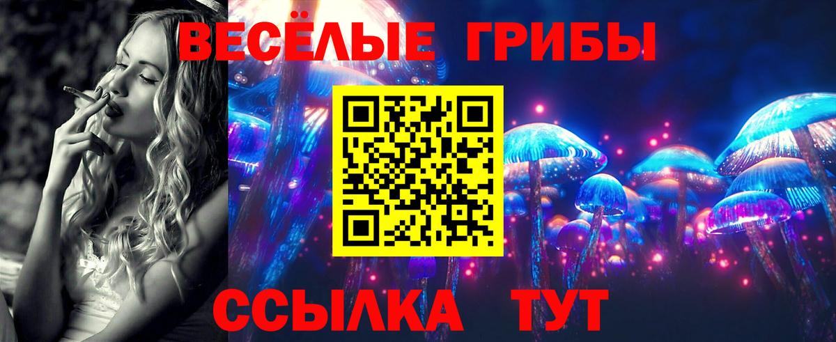 Галлюциногенные грибы мухоморы Гагарин